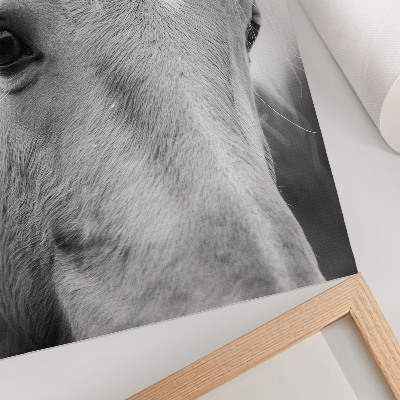 Foto su tela Eleganza in bianco e nero con l'occhio di cavallo