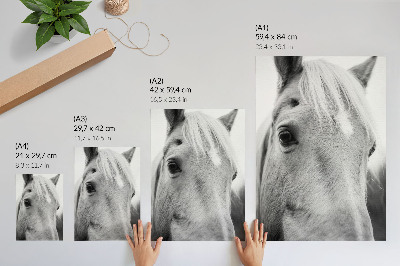 Foto su tela Eleganza in bianco e nero con l'occhio di cavallo
