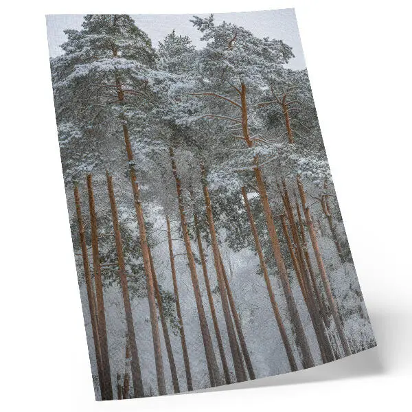 Poster paesaggio di foresta invernale con alberi innevati all'insegna di pace e armonia