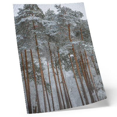 Poster Foresta invernale, neve, alberi, pace, armonia, natura
