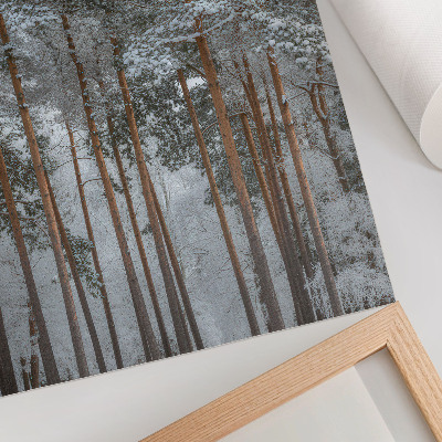 Poster Foresta invernale, neve, alberi, pace, armonia, natura