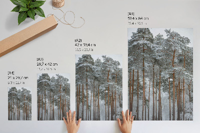 Poster Foresta invernale, neve, alberi, pace, armonia, natura