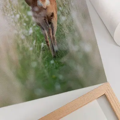Foto su tela caprioli in un paesaggio naturale armonioso e pacifico