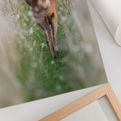 Foto su tela Caprioli sullo sfondo dell'armonia e della pace della natura