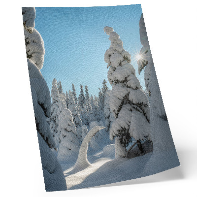 Poster Alberi innevati, cielo azzurro, sole