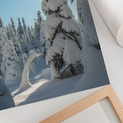 Poster Alberi innevati, cielo azzurro, sole