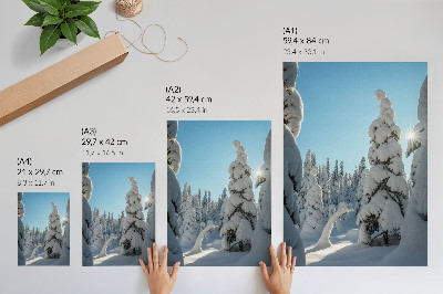 Poster Alberi innevati, cielo azzurro, sole