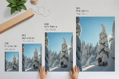 Poster alberi innevati con cielo azzurro e sole