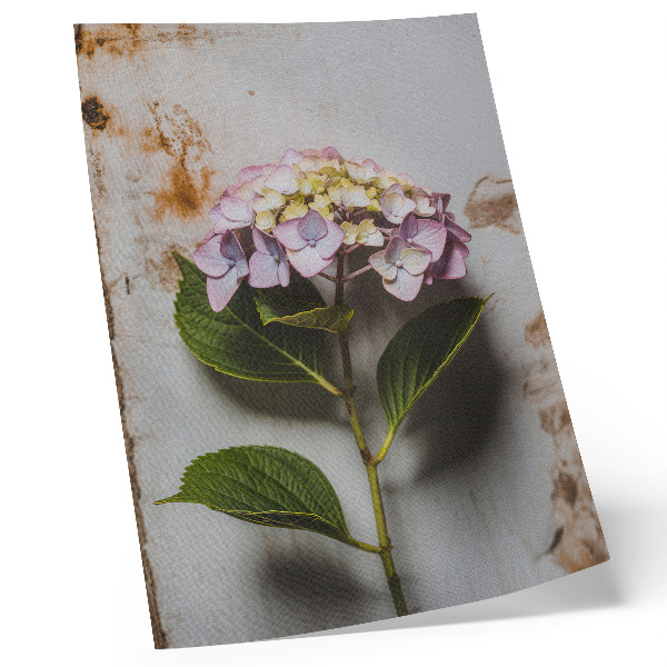 Poster Ortensia rosa con foglie verdi su sfondo rustico