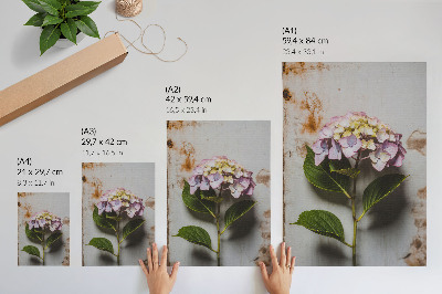 Poster Ortensia rosa con foglie verdi su sfondo rustico