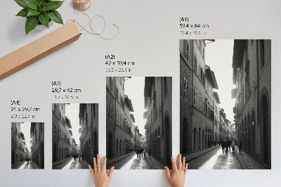 Stampa su tela Il fascino monocromatico di una strada storica