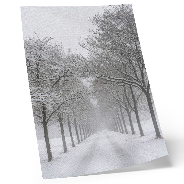 Poster Viale simmetrico di alberi invernali, neve, nebbia