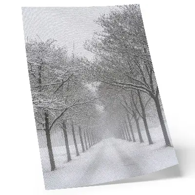 Poster viale simmetrico di alberi invernali con neve e nebbia