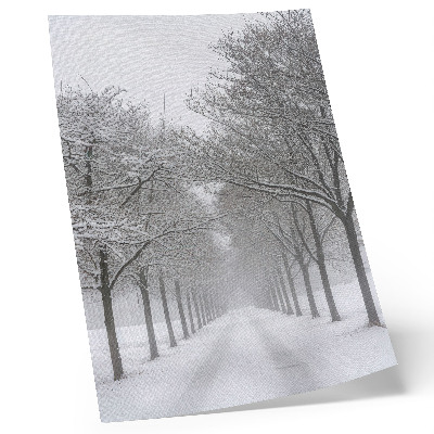 Poster Viale simmetrico di alberi invernali, neve, nebbia