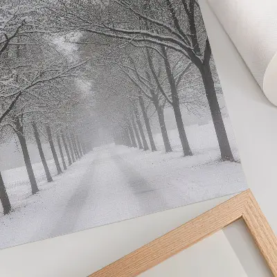 Poster viale simmetrico di alberi invernali con neve e nebbia
