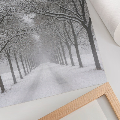 Poster Viale simmetrico di alberi invernali, neve, nebbia