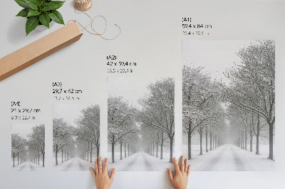 Poster Viale simmetrico di alberi invernali, neve, nebbia