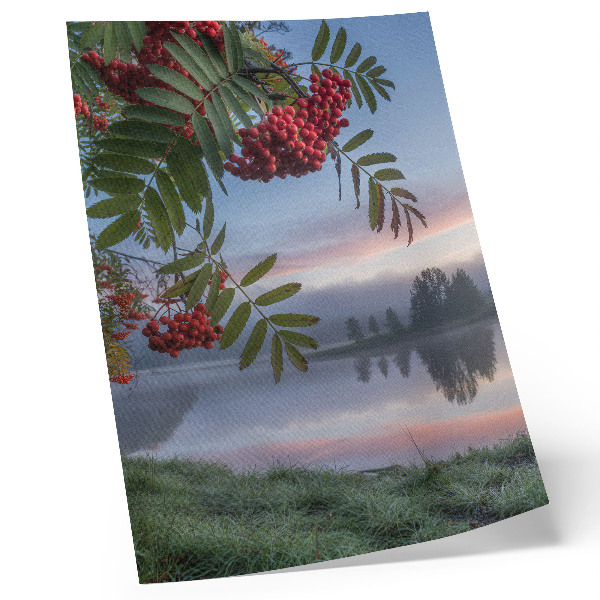 Poster Lago al mattino sorbo delicata nebbia natura