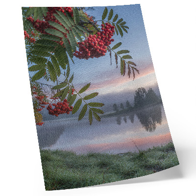 Poster Lago al mattino sorbo delicata nebbia natura