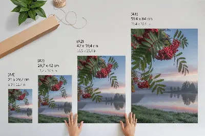 Poster lago al mattino con delicata nebbia e paesaggio naturale
