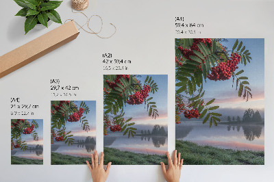 Poster Lago al mattino sorbo delicata nebbia natura