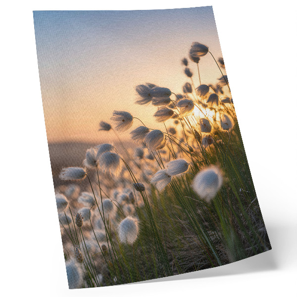 Stampa su tela Erba al tramonto, colori caldi, naturalezza