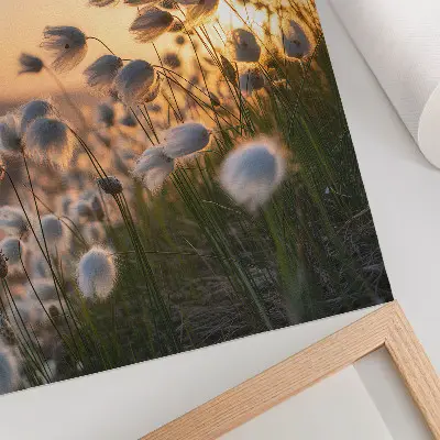 Stampa su tela erba al tramonto con colori caldi e atmosfera naturale