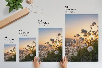 Stampa su tela erba al tramonto con colori caldi e atmosfera naturale