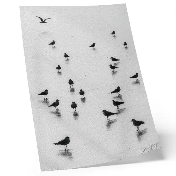 Stampa su tela uccelli sull'acqua con riflessi delicati in stile minimalista