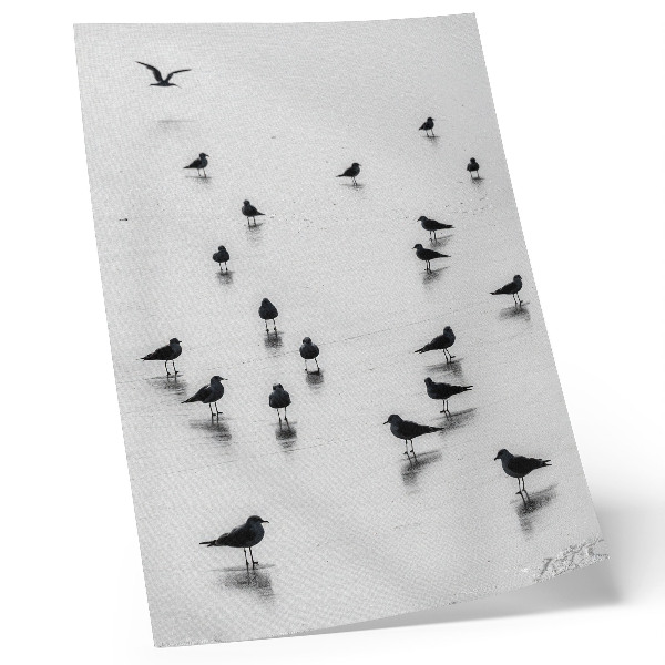 Stampa su tela Uccelli sull'acqua, riflessi delicati, minimalismo
