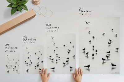 Stampa su tela Uccelli sull'acqua, riflessi delicati, minimalismo