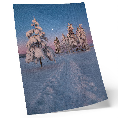 Foto su tela Paesaggio invernale con alberi innevati e la luna