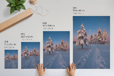 Foto su tela Paesaggio invernale con alberi innevati e la luna