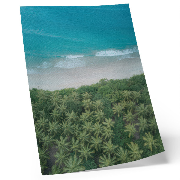 Poster Spiaggia, onde turchesi, palme, armonia, pace