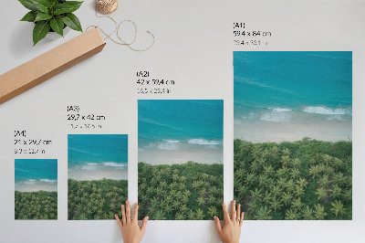 Poster Spiaggia, onde turchesi, palme, armonia, pace