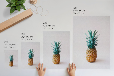 Foto su tela Ananas con foglie turchesi su sfondo bianco