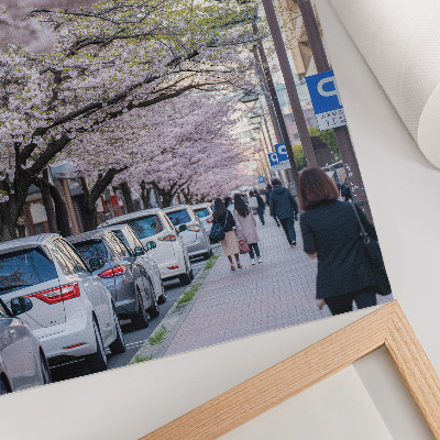 Stampa su tela Una strada con ciliegi in fiore e auto parcheggiate