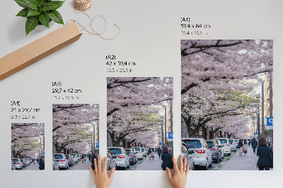Stampa su tela Una strada con ciliegi in fiore e auto parcheggiate