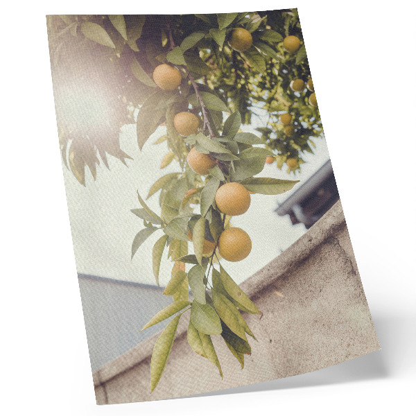 Poster Ramo d'albero sole foglie verdi arancioni
