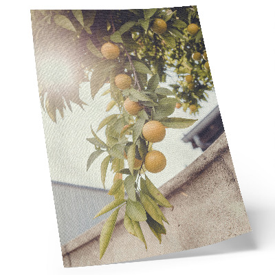 Poster Ramo d'albero sole foglie verdi arancioni