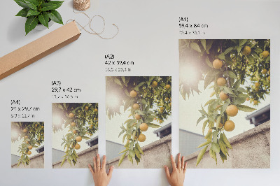 Poster Ramo d'albero sole foglie verdi arancioni