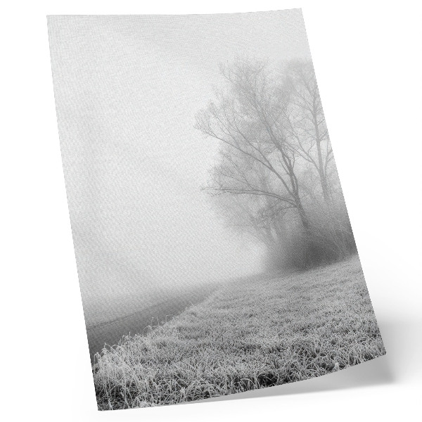Stampa su tela Nebbia tenue, alberi, paesaggio invernale, atmosfera pacifica