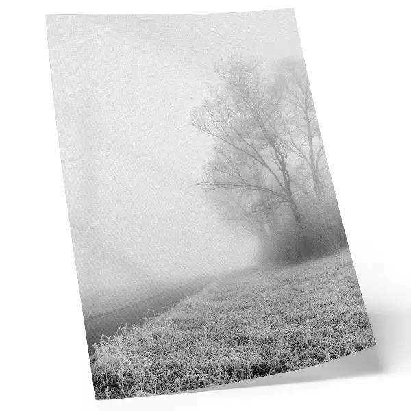 Stampa su tela nebbia tenue tra gli alberi in un paesaggio invernale dall'atmosfera pacifica