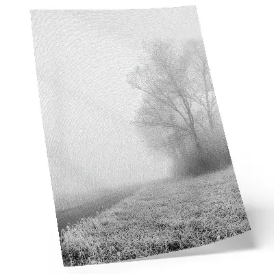 Stampa su tela nebbia tenue tra gli alberi in un paesaggio invernale dall'atmosfera pacifica