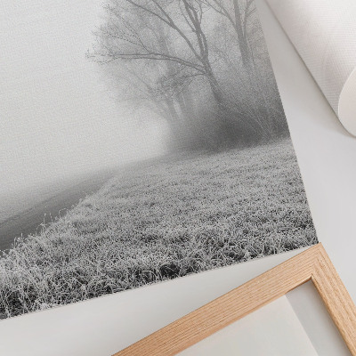 Stampa su tela Nebbia tenue, alberi, paesaggio invernale, atmosfera pacifica