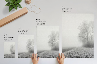 Stampa su tela Nebbia tenue, alberi, paesaggio invernale, atmosfera pacifica