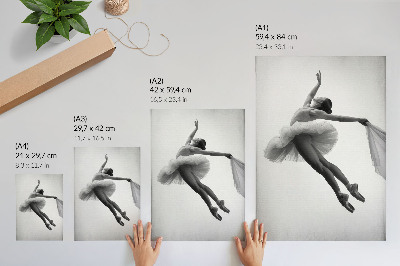 Poster Una ballerina in movimento con grazia e leggerezza.