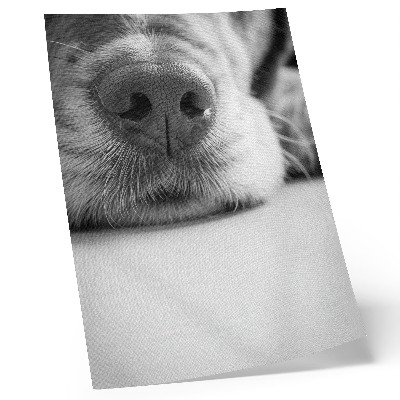 Stampa su tela Primo piano di un cane, texture in bianco e nero, minimalismo