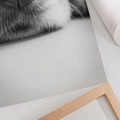 Stampa su tela Primo piano di un cane, texture in bianco e nero, minimalismo