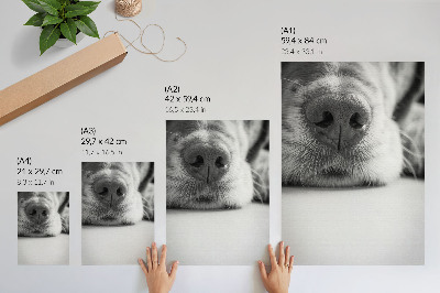 Stampa su tela Primo piano di un cane, texture in bianco e nero, minimalismo